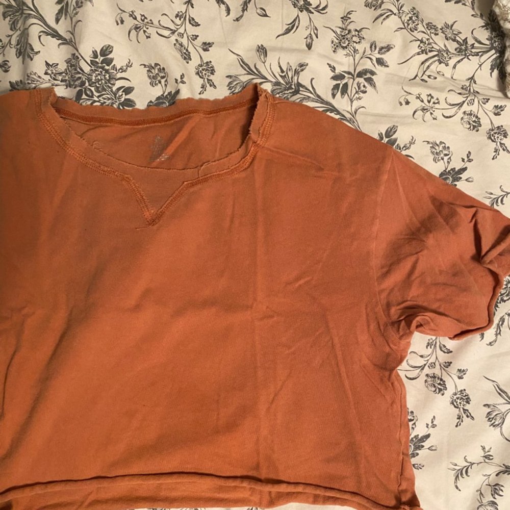 Aerie Crop Top